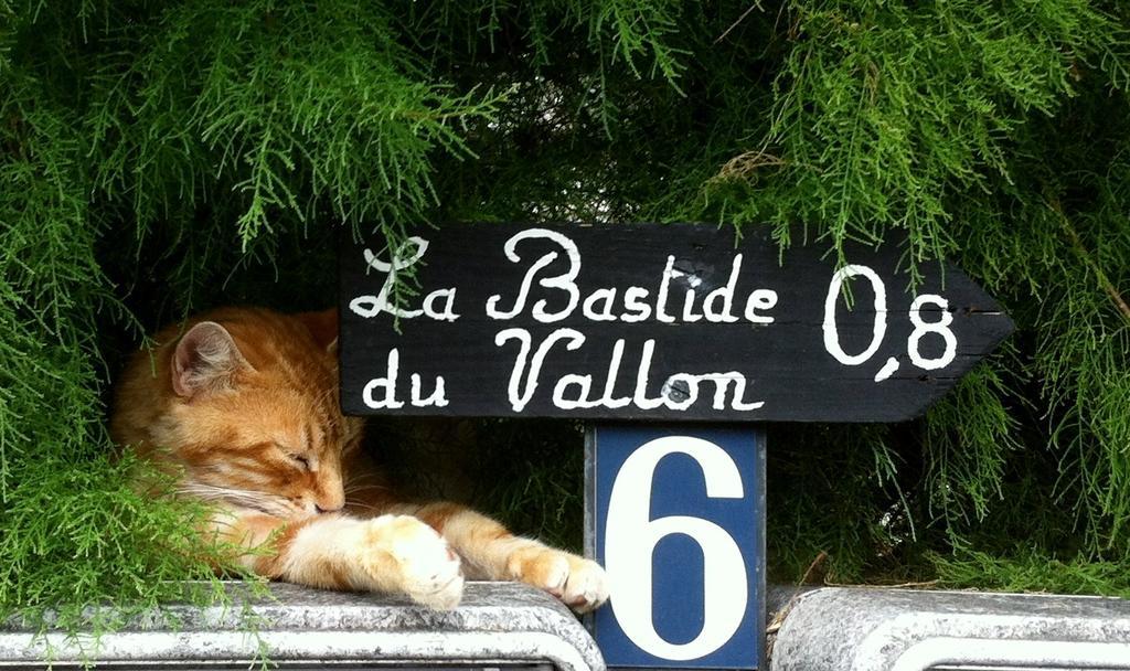 La Bastide Du Vallon Pensionat Saumane-de-Vaucluse Eksteriør billede